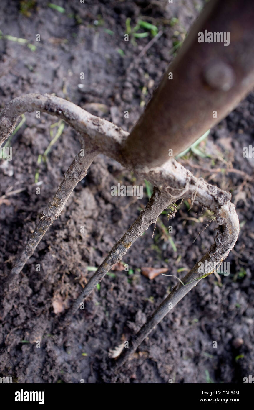 Graben und bereitet den Boden-Boden für Pflanzen, Gemüse, Obst und Blumen bereit. Stockfoto