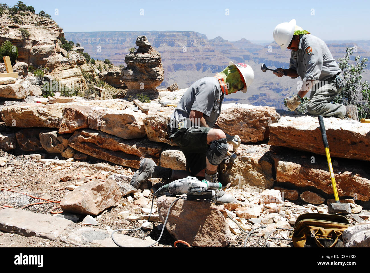 Grand Canyon Nat.-Park: Mauerwerk Reparaturen: Ente auf einem Felsen 0328 Stockfoto