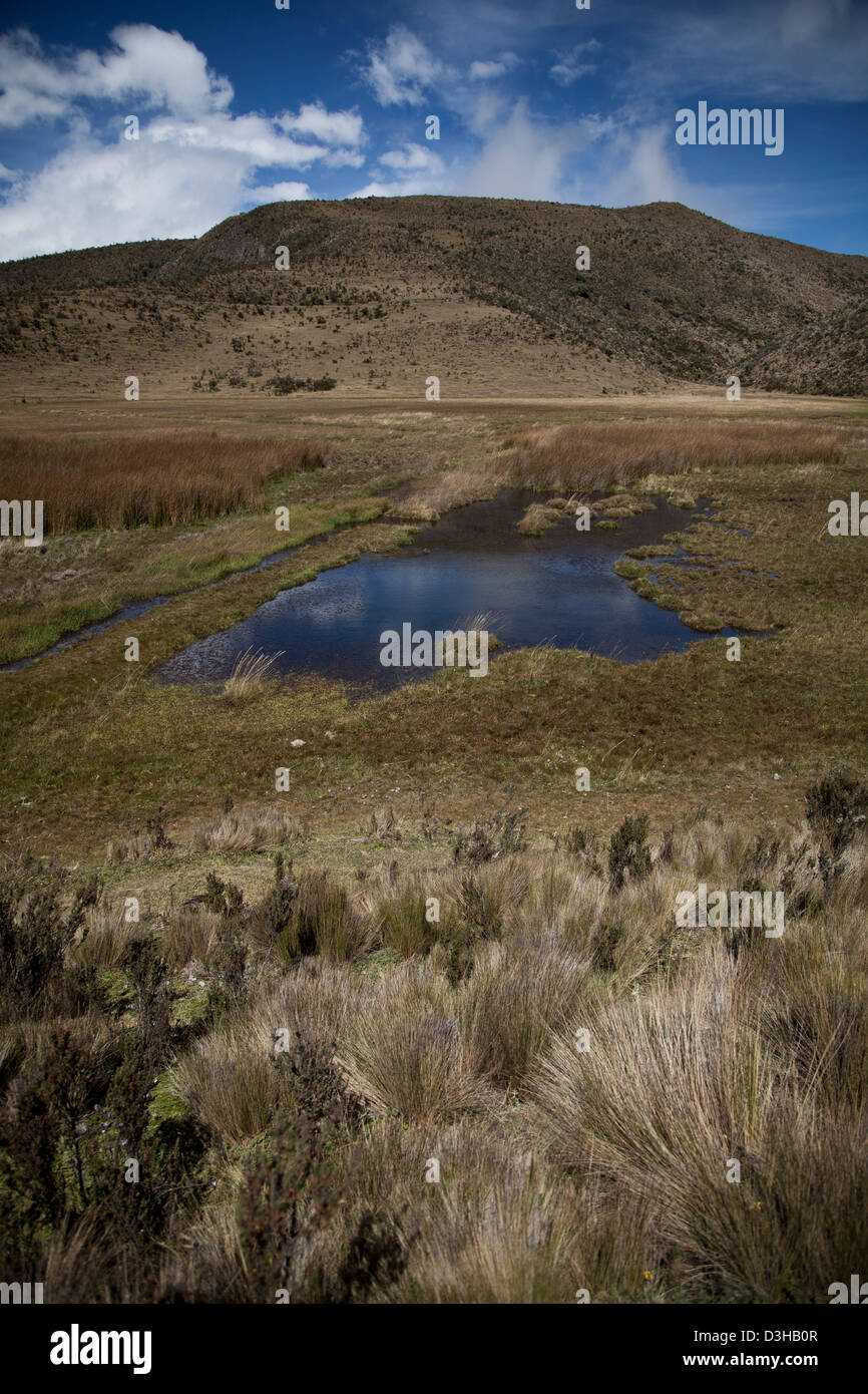 Gebirgskette Anden Ecuador Cotopaxi Landschaft Stockfoto