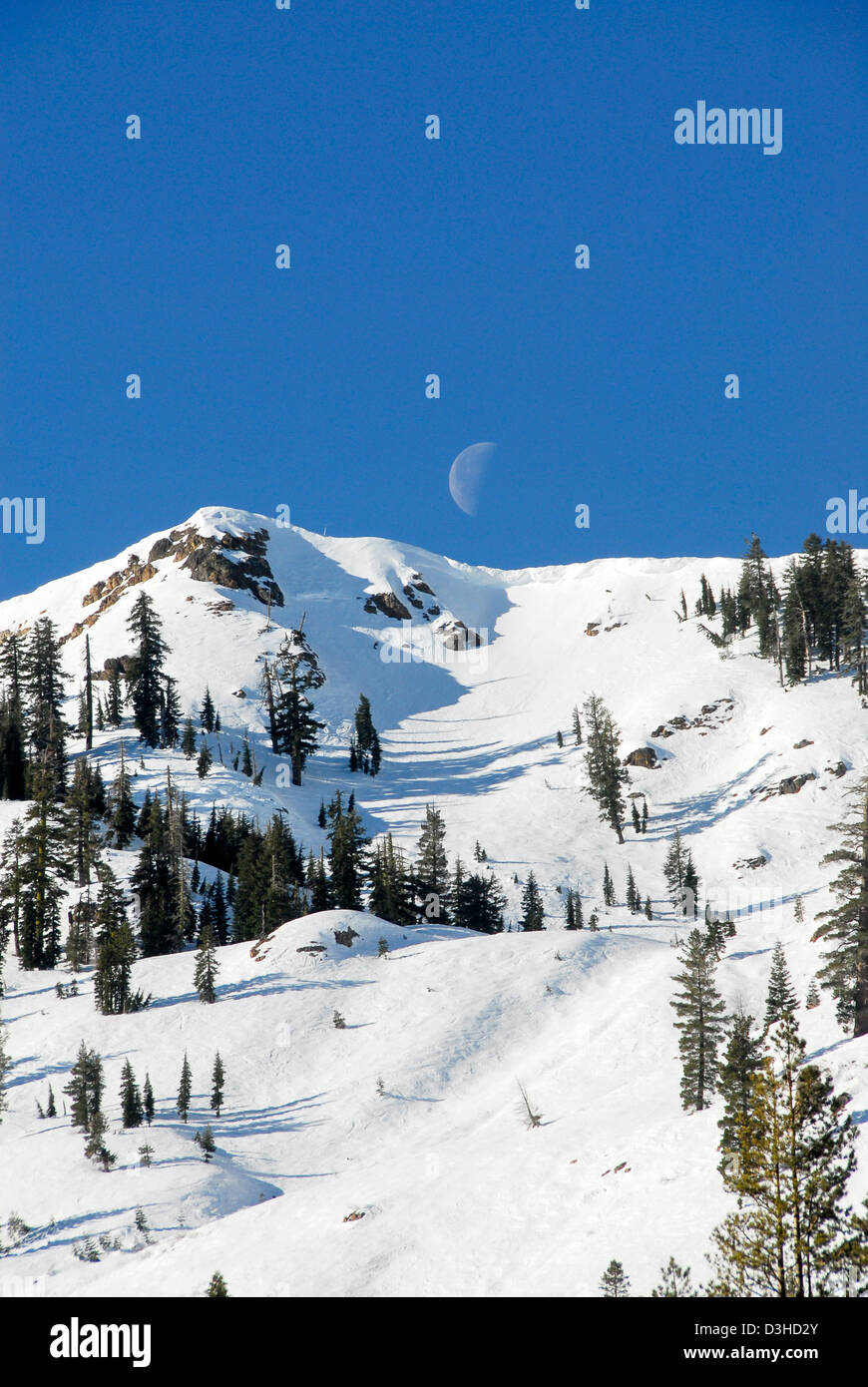 Almwiesen-Ski-Resort in North Lake Tahoe in den Sierras California Stockfoto