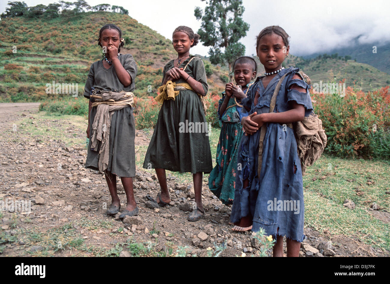 Junge Tigrayan Mädchen mit leeren Säcken auf dem Rücken, bevor sie nach Feuerholz suchen. Maichew, Tigray, Äthiopien Stockfoto