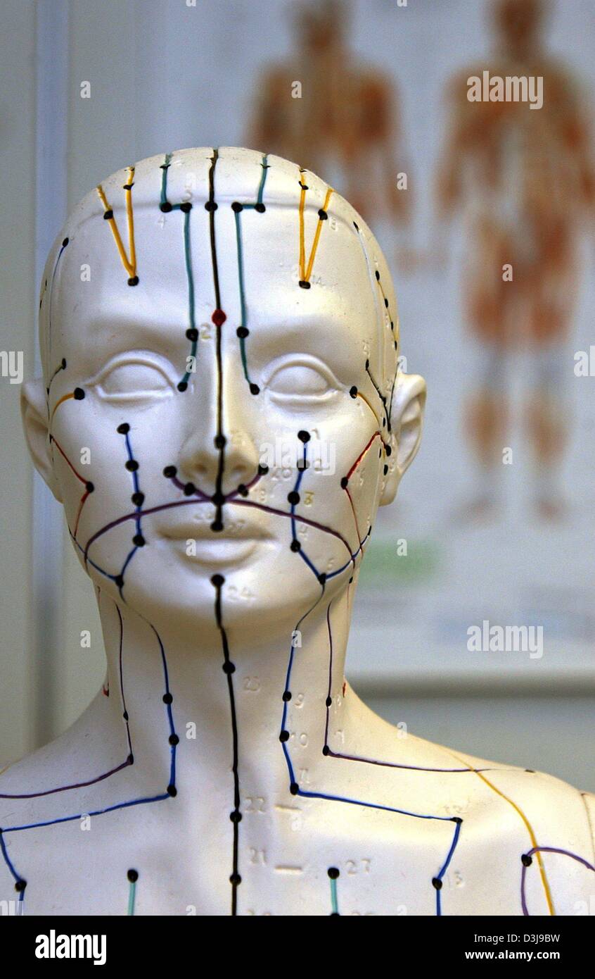 (Dpa-Dateien) - steht ein anatomisches Modell anzeigen Linien und Flecken verwendet für Akupunktur in der Schmerzklinik des Universitätsklinikums Jena, Deutschland, 7. November 2003. Rund 80 Prozent der Bevölkerung leiden Rückenschmerzen mindestens einmal in ihrem Leben mit 20 Prozent entwickeln eine chronische Erkrankung. Während konventionelle Medizin wie Massagen und Schmerzmittel oft Stockfoto