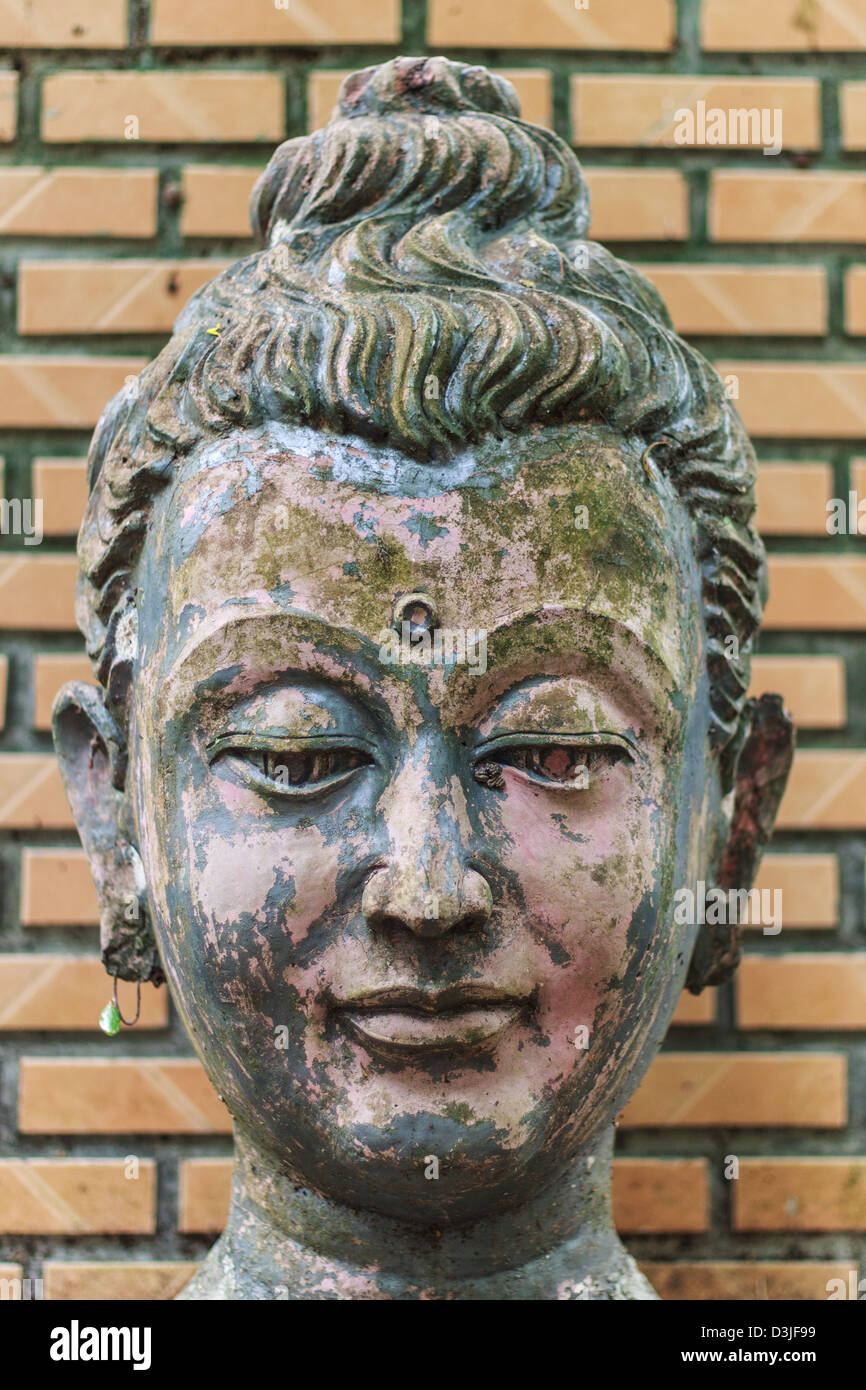 Kopf der Buddha-Kopf im Wat Tempel Chiangmai Stockfoto