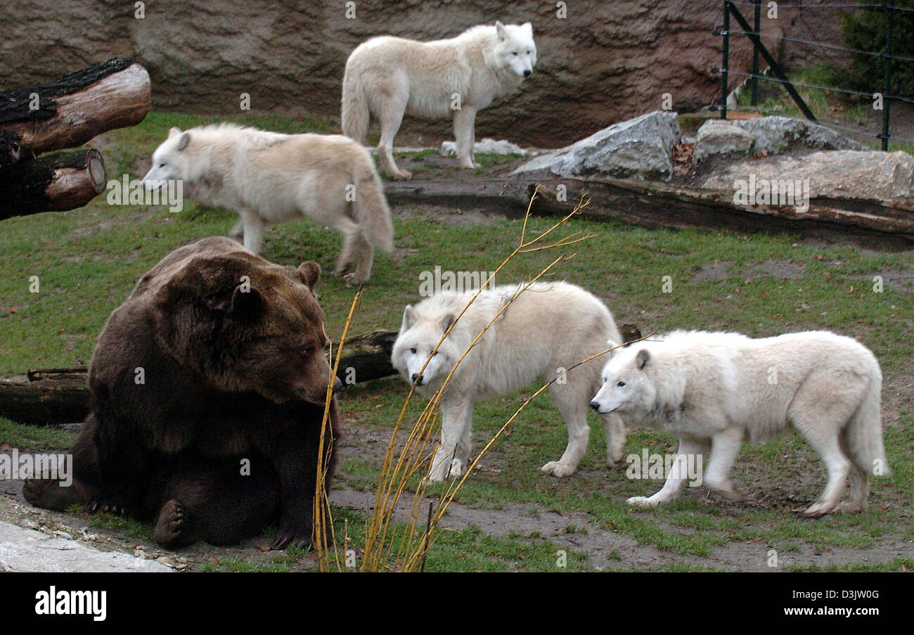Deu paar gruppe Fotos und Bildmaterial in hoher Auflösung Alamy