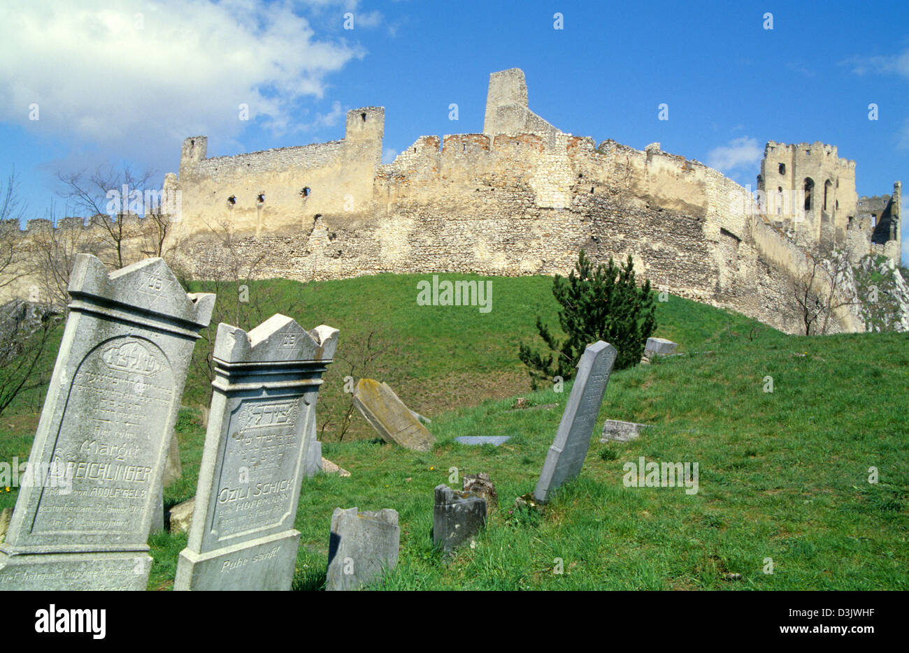 Alte verlassene jüdische Grabsteine in der Nähe von den Ruinen der Burg Beckov, Slowakei. Stockfoto