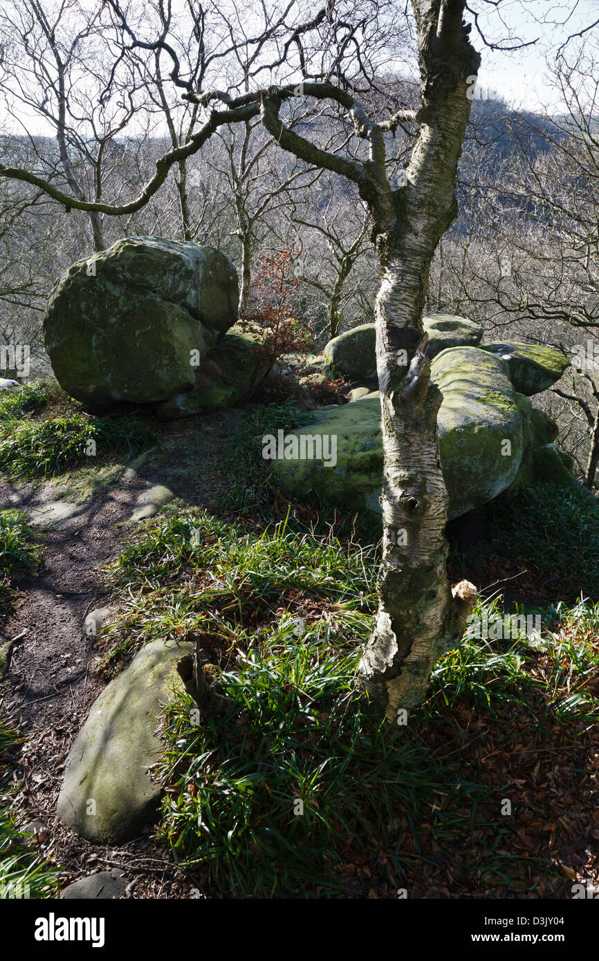 Rowtor Felsen, Birchover, Peak District National Park, Derbyshire, England Stockfoto