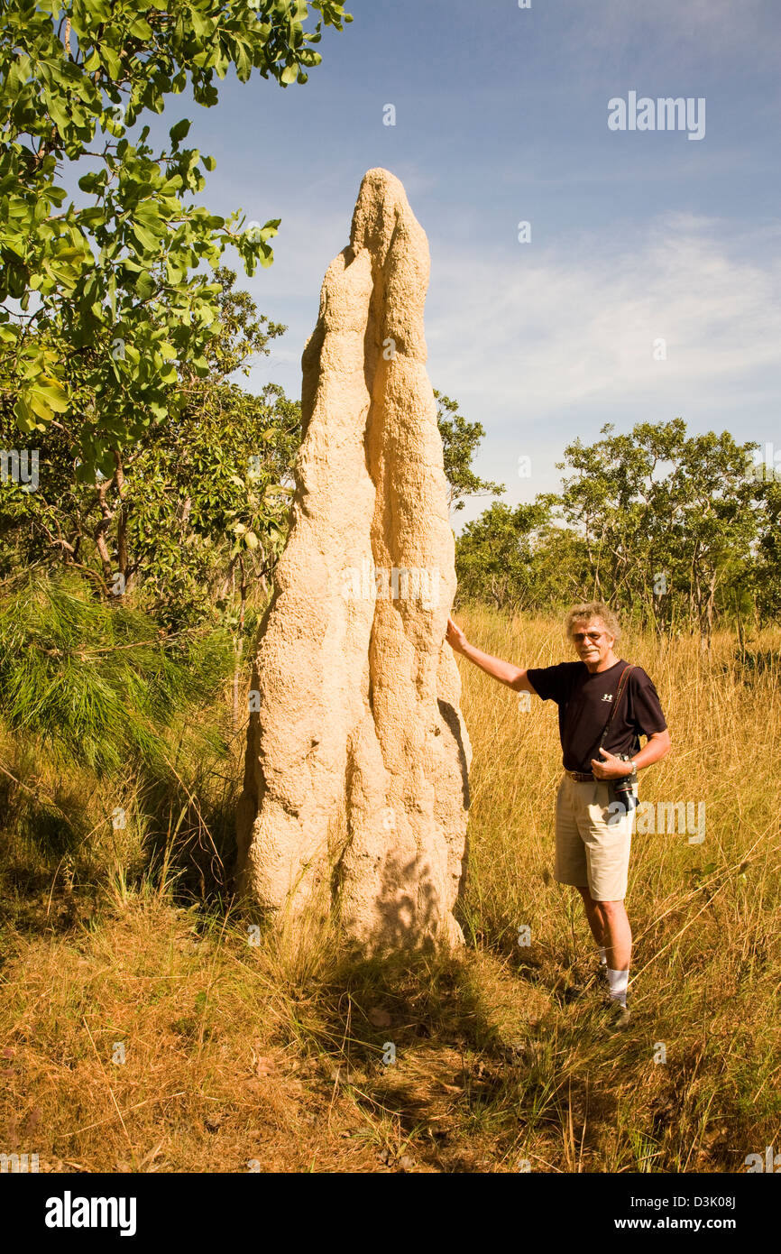 Eines der faszinierendsten Sehenswürdigkeiten in Litchfield NP sind die riesigen Termitenhügel, einige hoch aufragenden mehr als 4 m (13ft) NT Australien Stockfoto