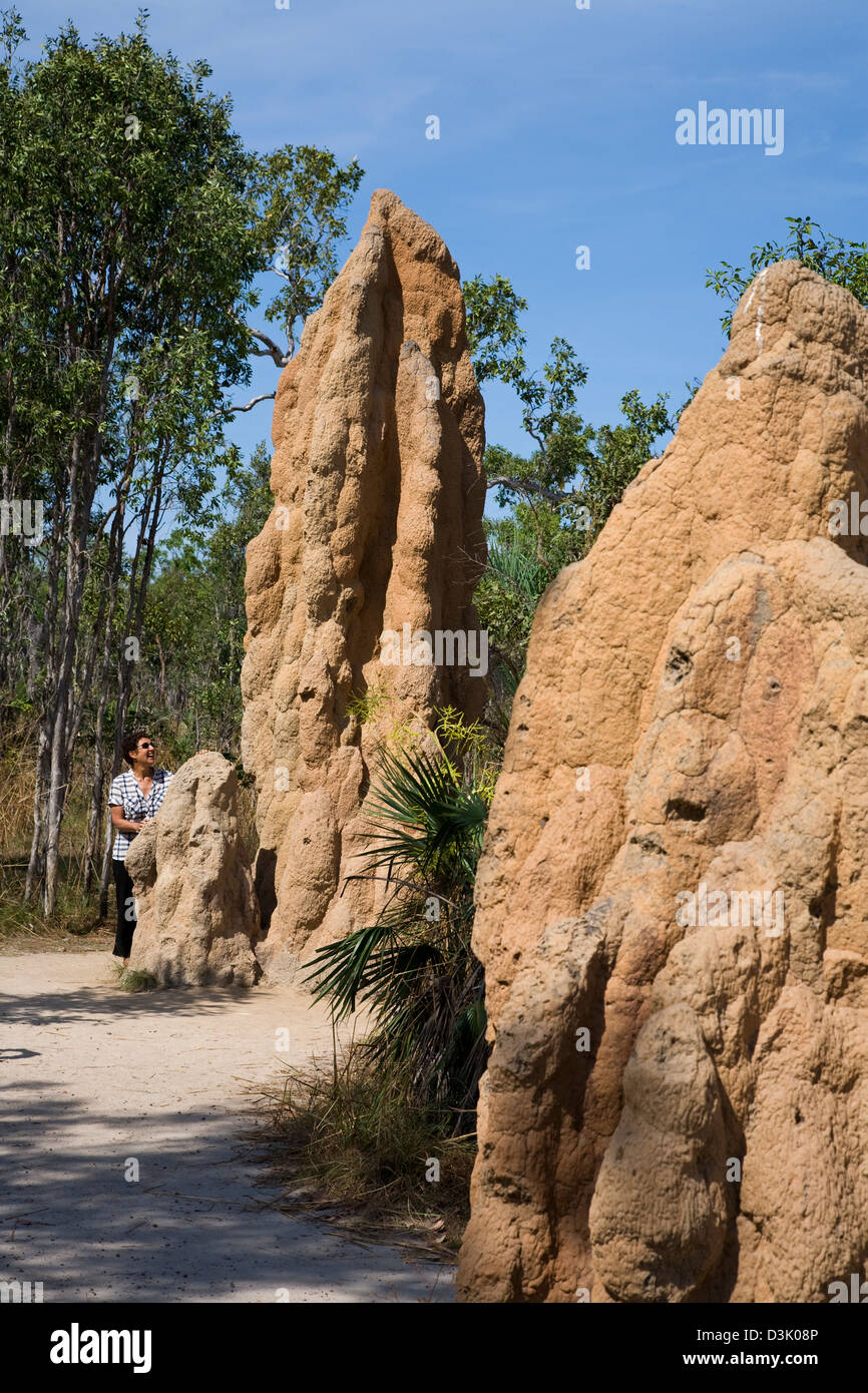 Eines der faszinierendsten Sehenswürdigkeiten in Litchfield NP sind die riesigen Termitenhügel, einige hoch aufragenden mehr als 4 m (13ft) NT Australien Stockfoto