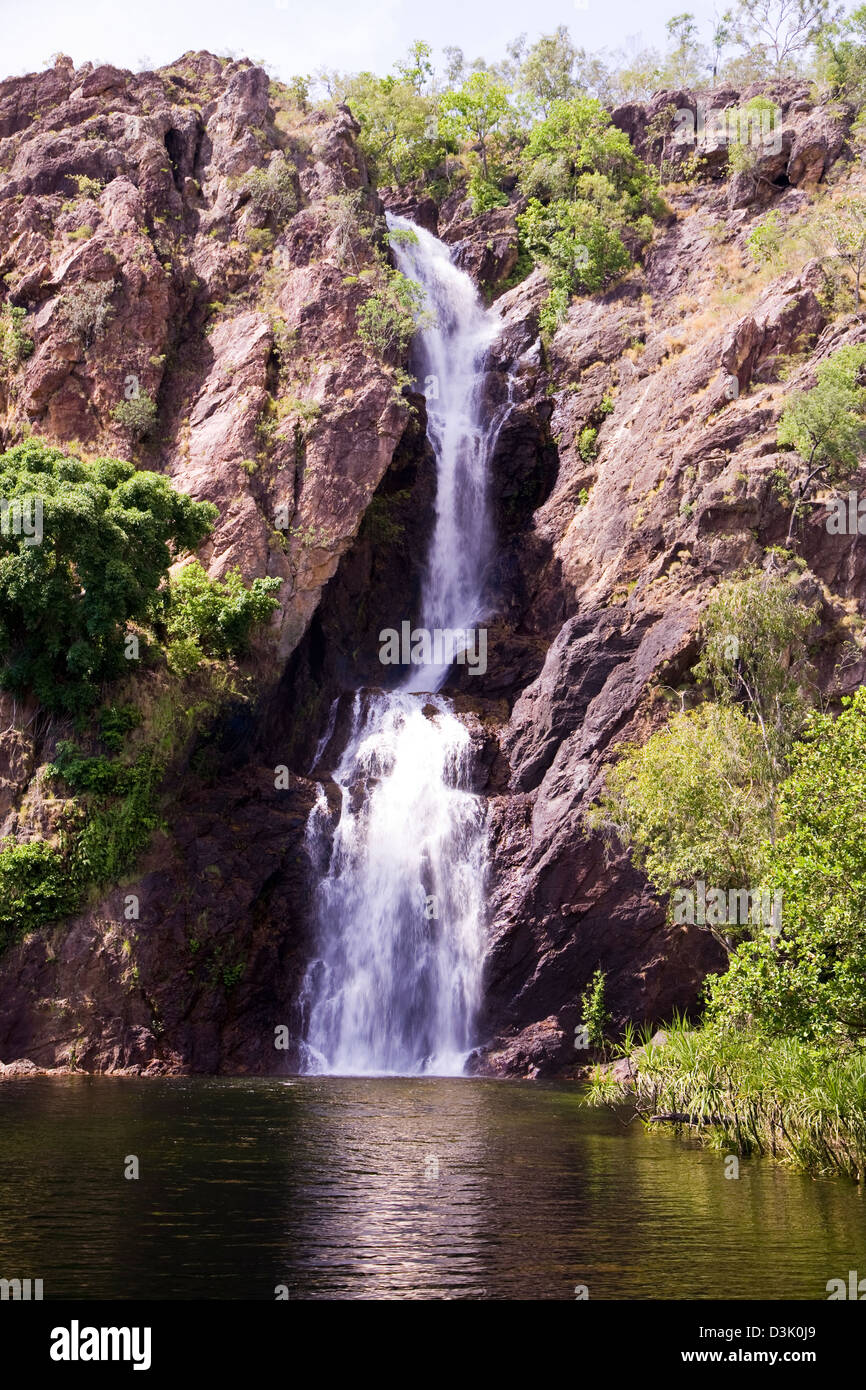 Umgeben von üppigen Regenwald Monsunklima, ist malerische Wangi Falls die beliebteste Attraktion im Litchfield National Park, NT, AUST Stockfoto