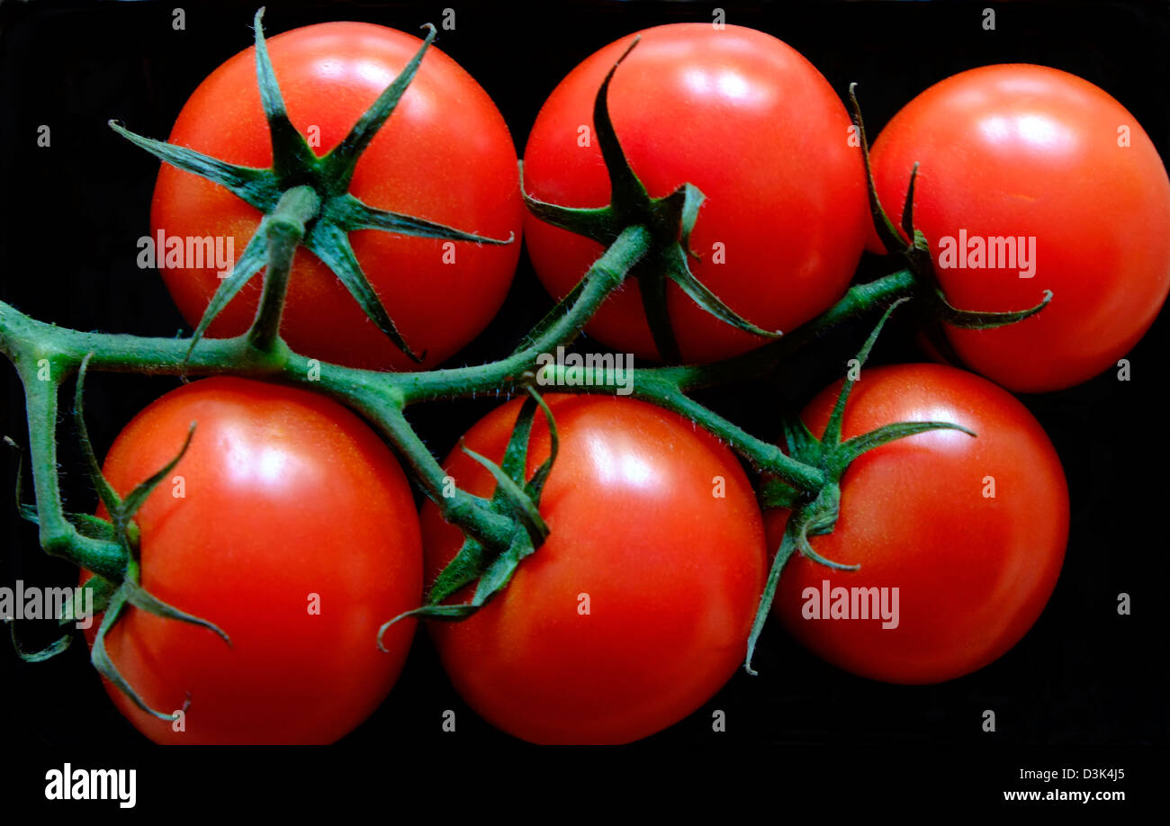 Nahaufnahme der Tomaten Stockfoto