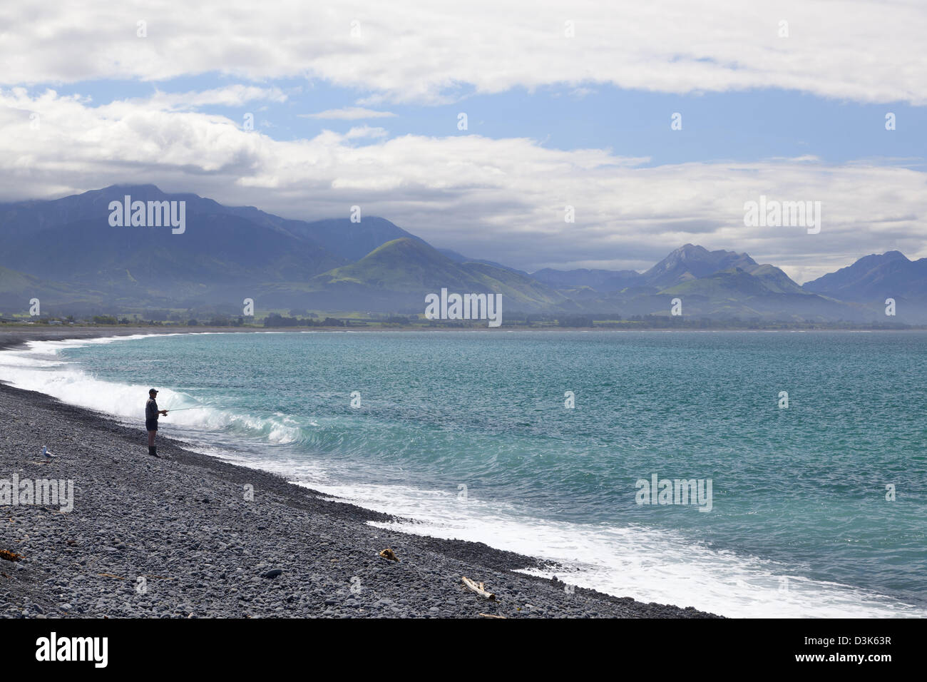 Angeln am Strand im Frühling Kaikoura, Neuseeland, Südinsel, Stockfoto