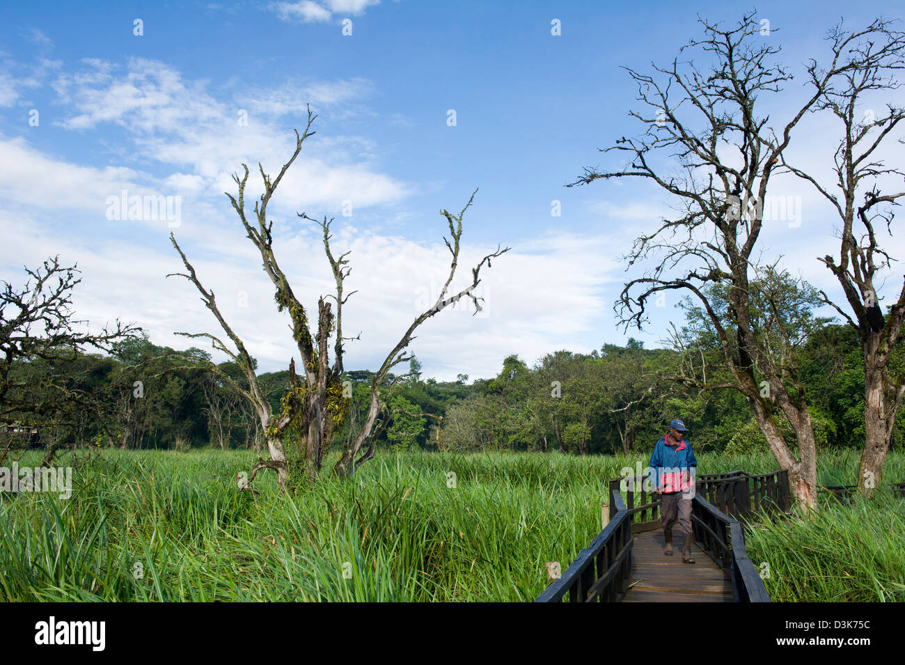 Spazierweg durch den Sumpf, Saiwa Swamp Nationalpark, Kenia Stockfoto