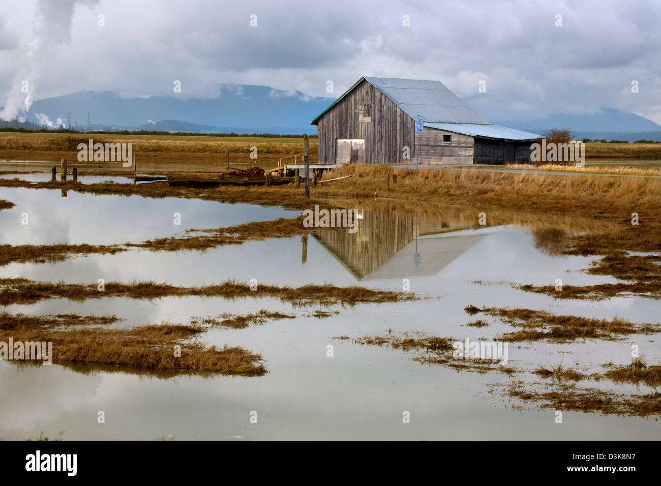 Alte Schuppen neben Erholung Trail entlang der großen indischen Slough und Peters Bay befindet sich am Skagit River Delta in der Nähe von Mount Vernon. Stockfoto