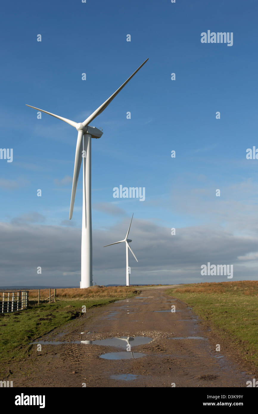 Gegen den Wind Stockfoto