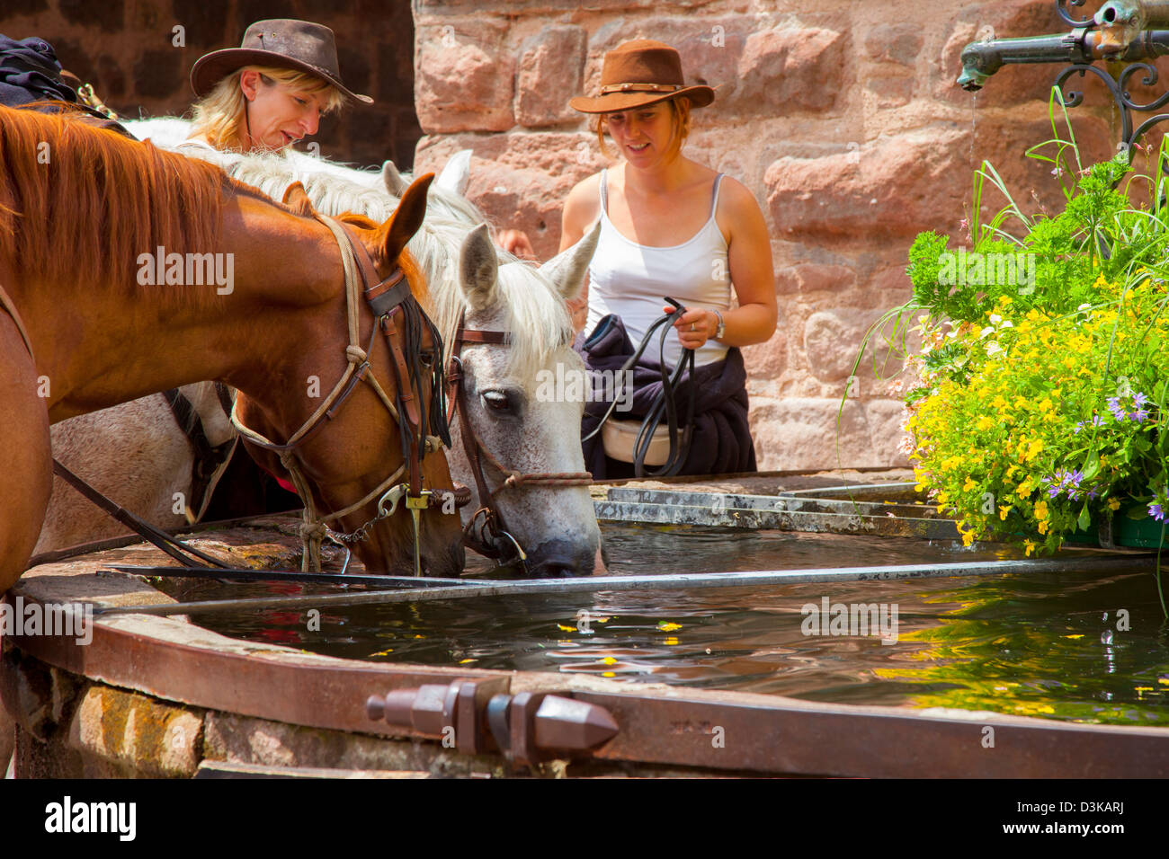 Frauen mit Reitpferden an öffentlichen Brunnen in Riquewihr, entlang der Route des Vins (Weinstraße), Elsass-Frankreich Stockfoto