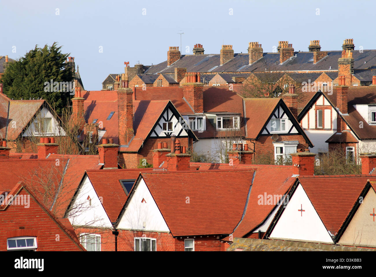 Dächer der Häuser und Wohnungen in der englischen Stadt, Scarborough, England. Stockfoto