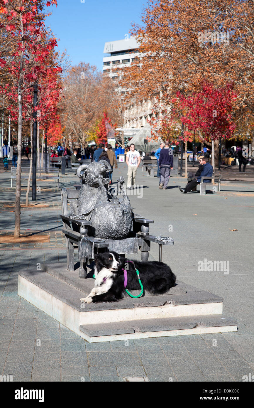 Peinlich Hund gebunden, Ainslie Schafe Skulptur, City Walk, Canberra. Eine visuelle Anspielung auf Schafschur Stockfoto