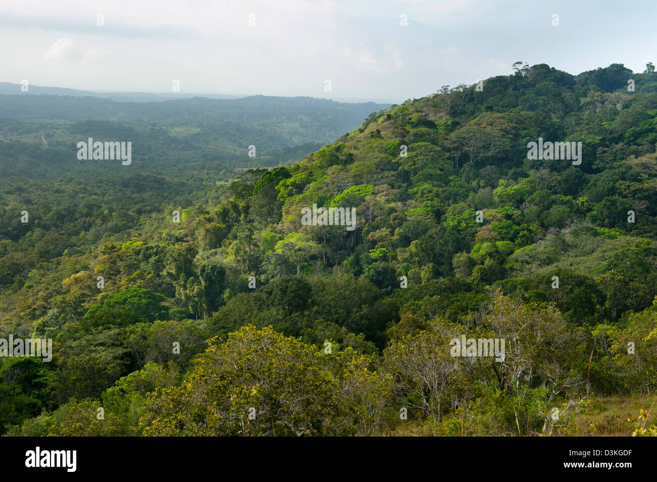 Ocean View Aussichtspunkt, Shimba Hills National Reserve, Kenia Stockfoto