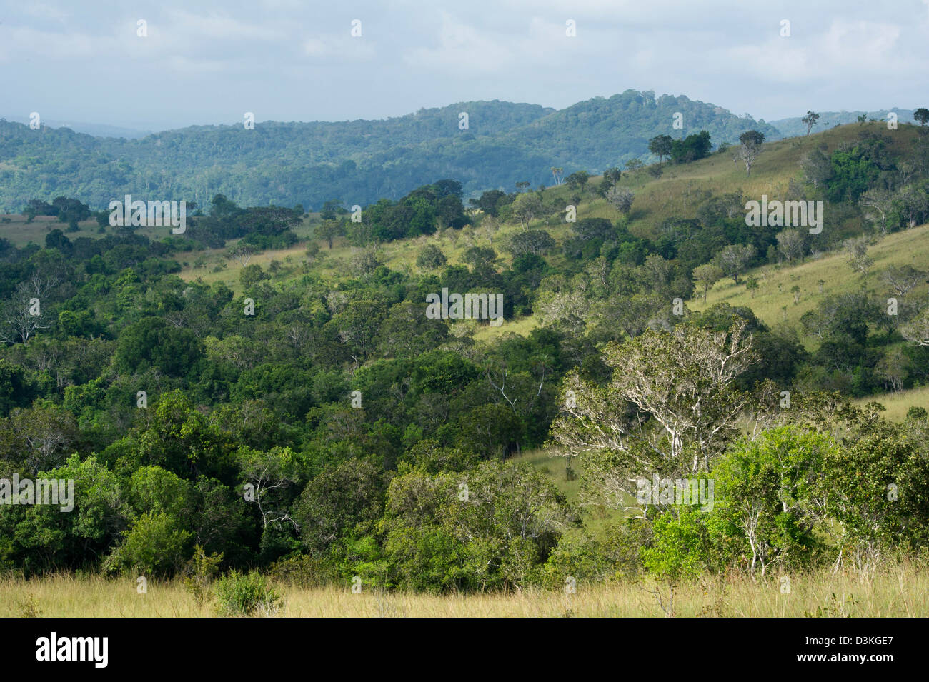 Giriama Sicht, Shimba Hills National Reserve, Kenia Stockfoto