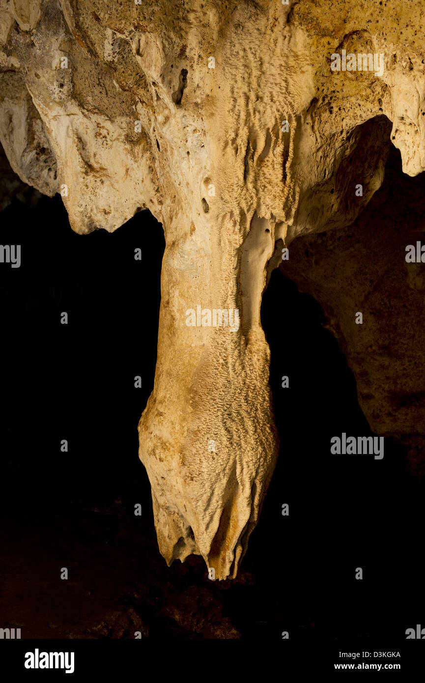 Tropfsteinhöhle, Shimoni Sklaven Höhlen Shimoni, Kenia Stockfoto
