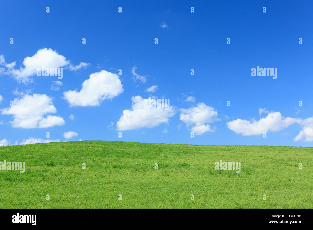 Grünland und blauer Himmel mit Wolken Stockfoto