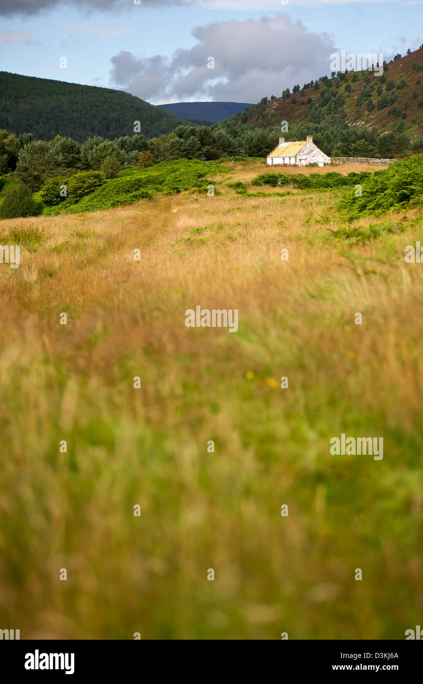 Ein verlassener Schaf Bauernhaus in den schottischen Highlands Stockfoto