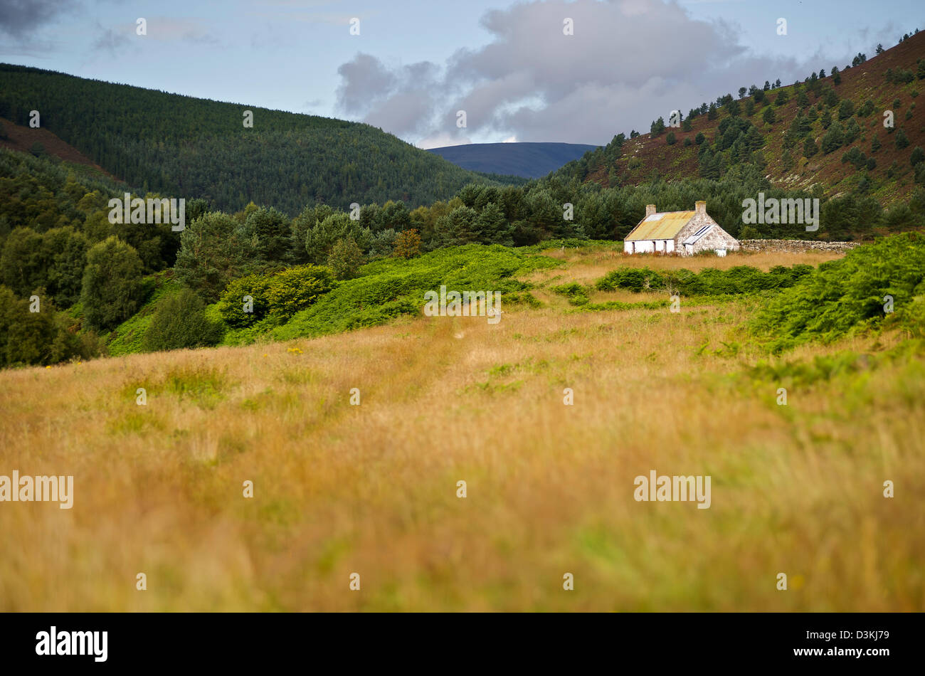 Ein verlassener Schaf Bauernhaus in den schottischen Highlands Stockfoto