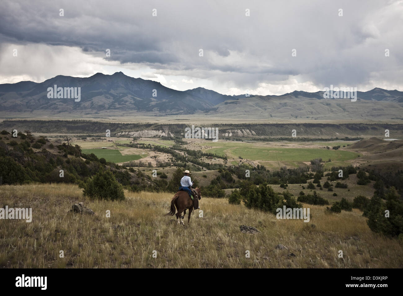 Am Morgen Fahrt Cowboy, Wrangler, Montana, USA Stockfoto