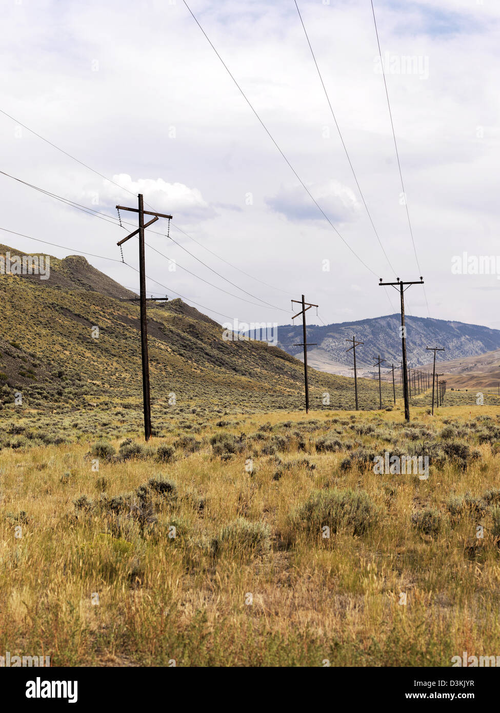 Telegrafenmasten am Hang, in Montana, USA Stockfoto