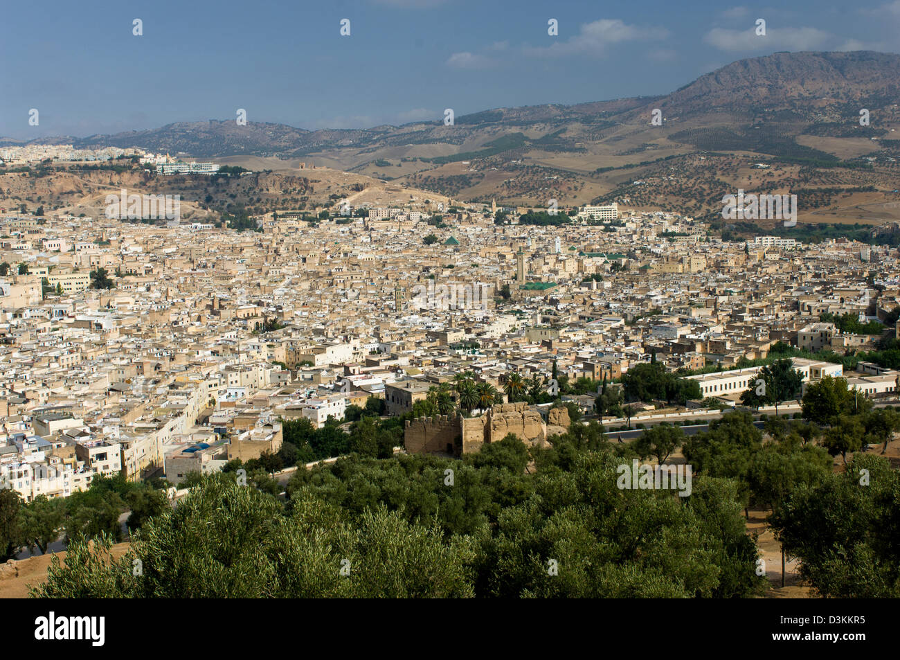 Blick hinunter auf die weitläufigen alten Medina aus dem Borj Sud Fort, zeigt die umliegende Landschaft, Fes, Marokko Stockfoto