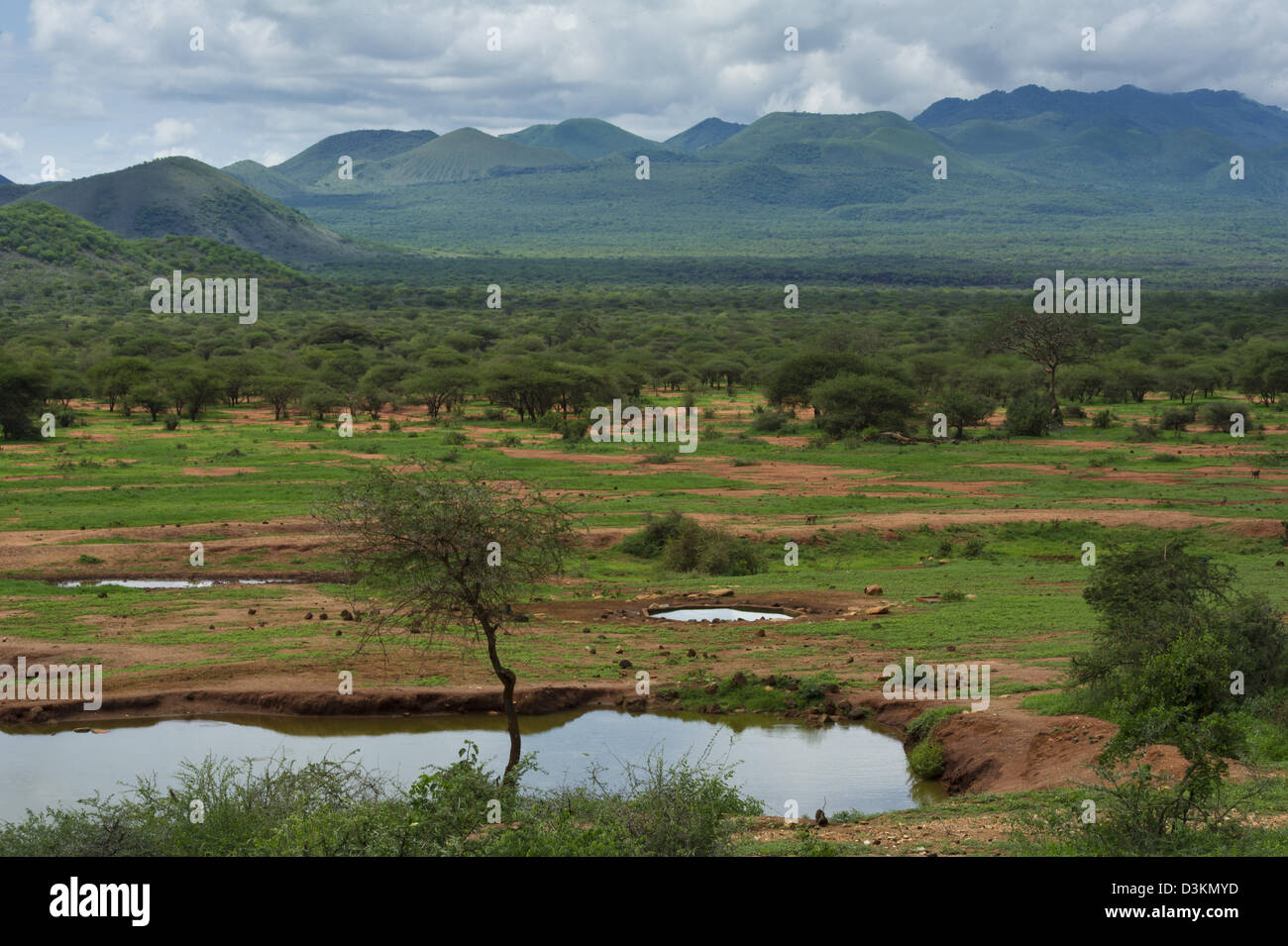 Chyulu Hills, Tsavo West Nationalpark, Kenia Stockfoto