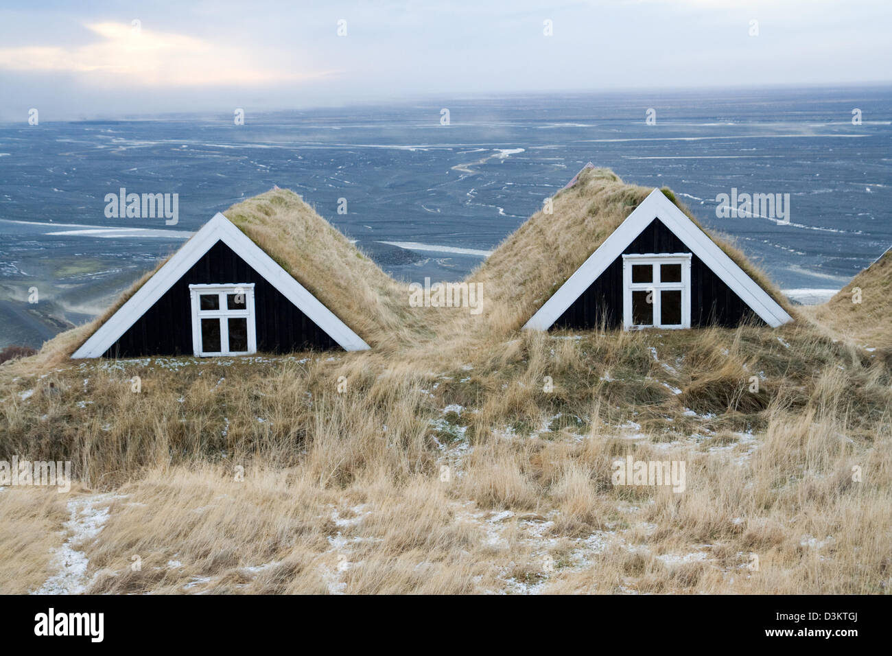 Island-Rasen-Häuser Stockfoto