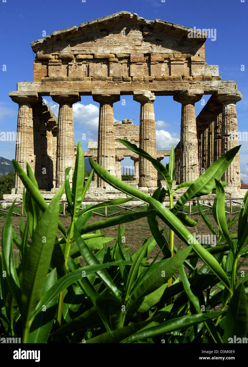 (Dpa) - das Bild zeigt die Ruinen von Ceres-Tempel dating Ende des 6. Jahrhunderts v. Chr. in Paestum in Kampanien, Italien, 13. September 2005. Der Tempel der Göttin Athene geweiht wurde / Minerva. Foto: Matthias Schrader Stockfoto