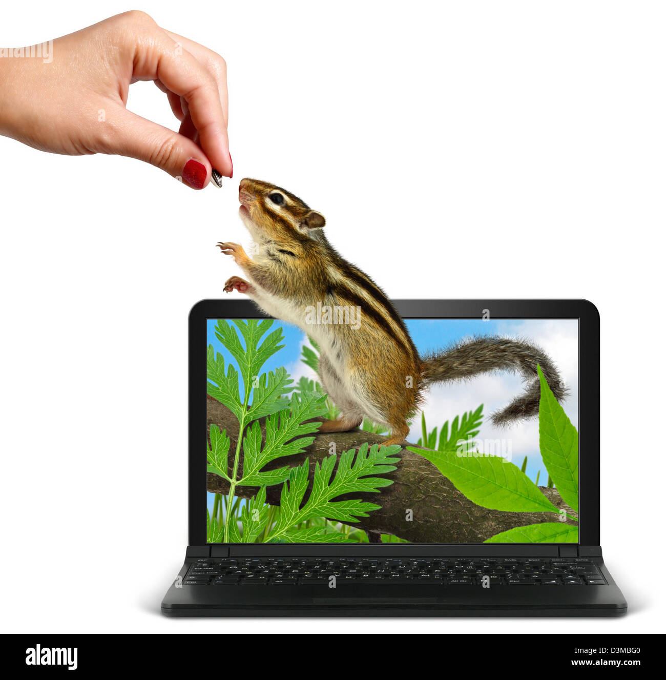 Hand-Feeds Tier aus Laptop, isoliert auf weißem Hintergrund Stockfoto