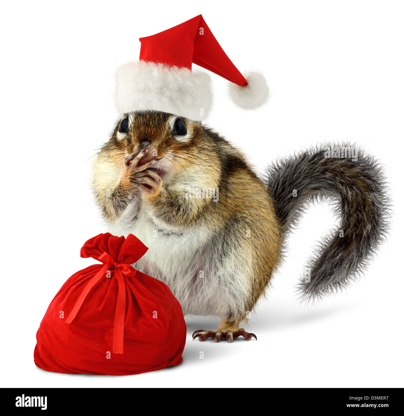 Streifenhörnchen in rote Weihnachtsmann Hut und Tasche mit Geschenken auf weißem Hintergrund Stockfoto