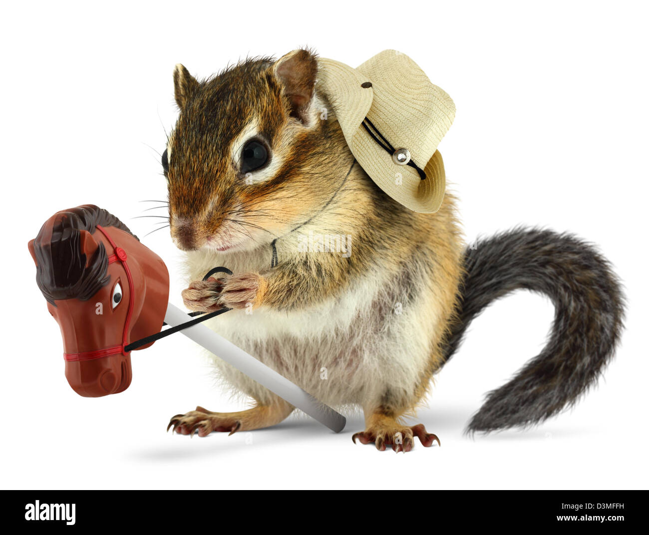 Lustige Streifenhörnchen Cowboy mit Stick Pferd auf weiß Stockfoto