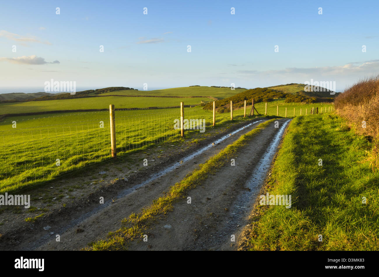 Feldweg durch Felder bei höheren Warcombe in der Nähe von Ilfracombe, North Devon, England Stockfoto