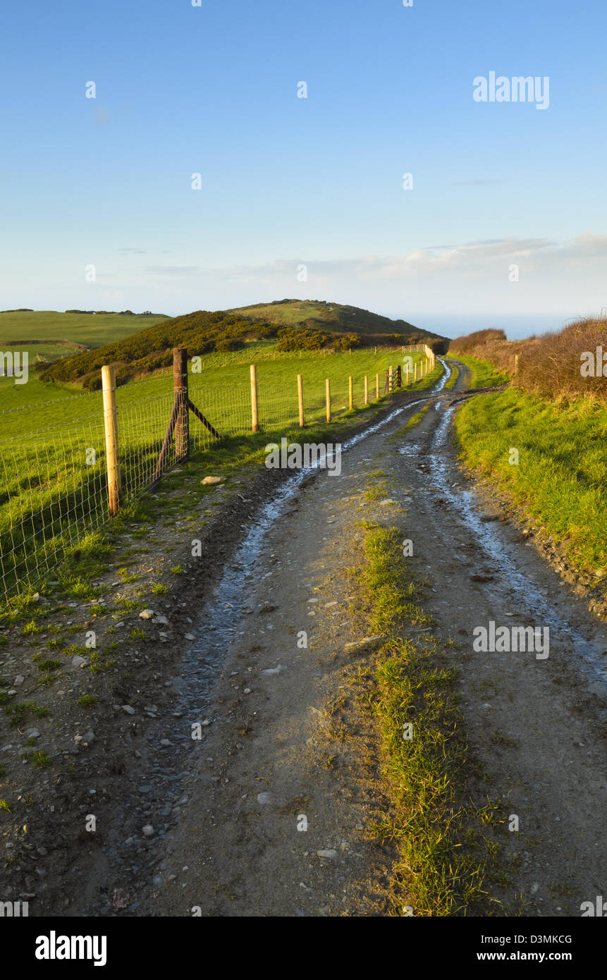 Feldweg durch Felder bei höheren Warcombe in der Nähe von Ilfracombe, North Devon, England Stockfoto