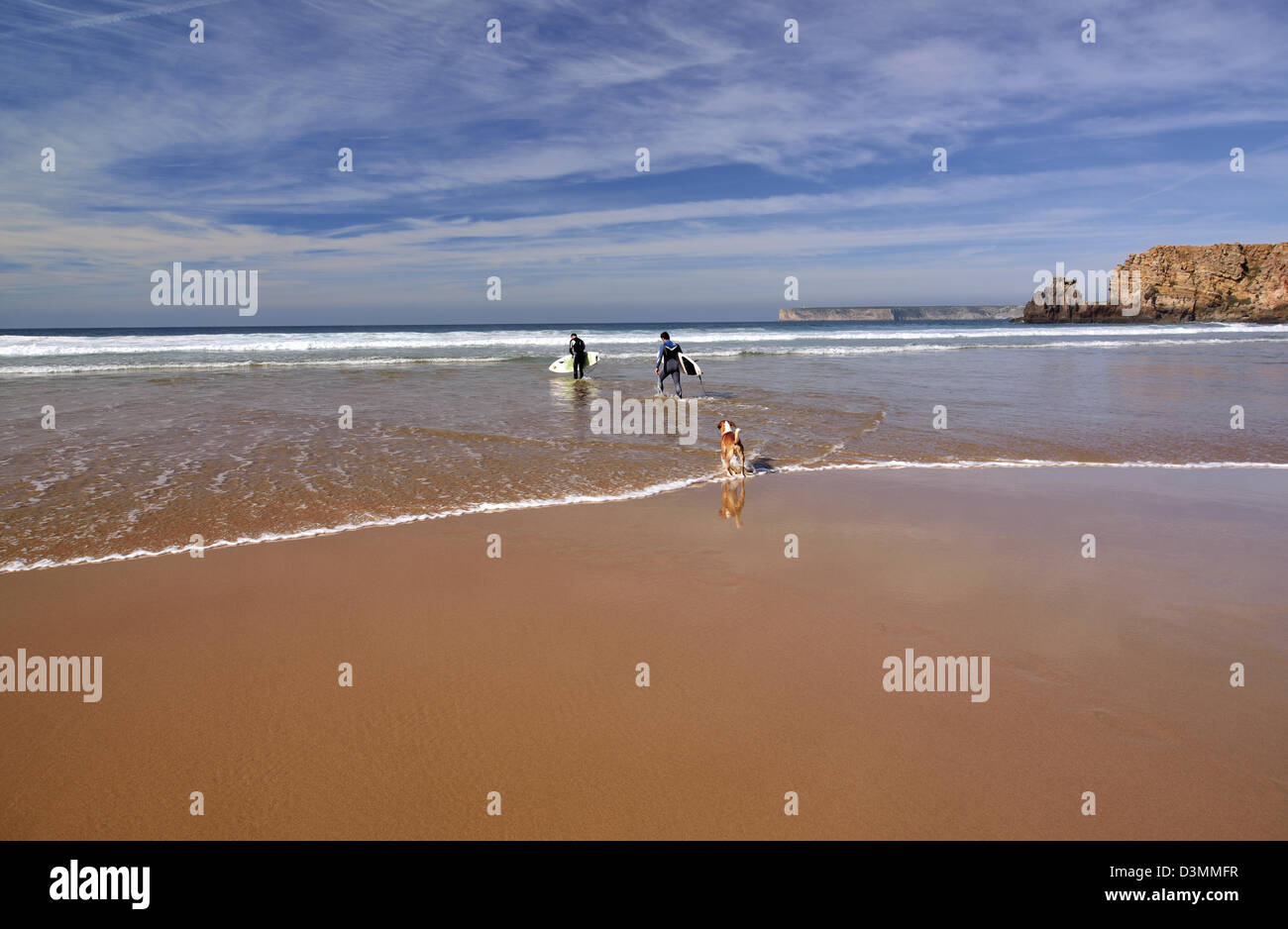 Portugal, Algarve: Surfer mit Brettern und Hund, die Eingabe in das Wasser am Strand Praia Tonel in Sagres Stockfoto