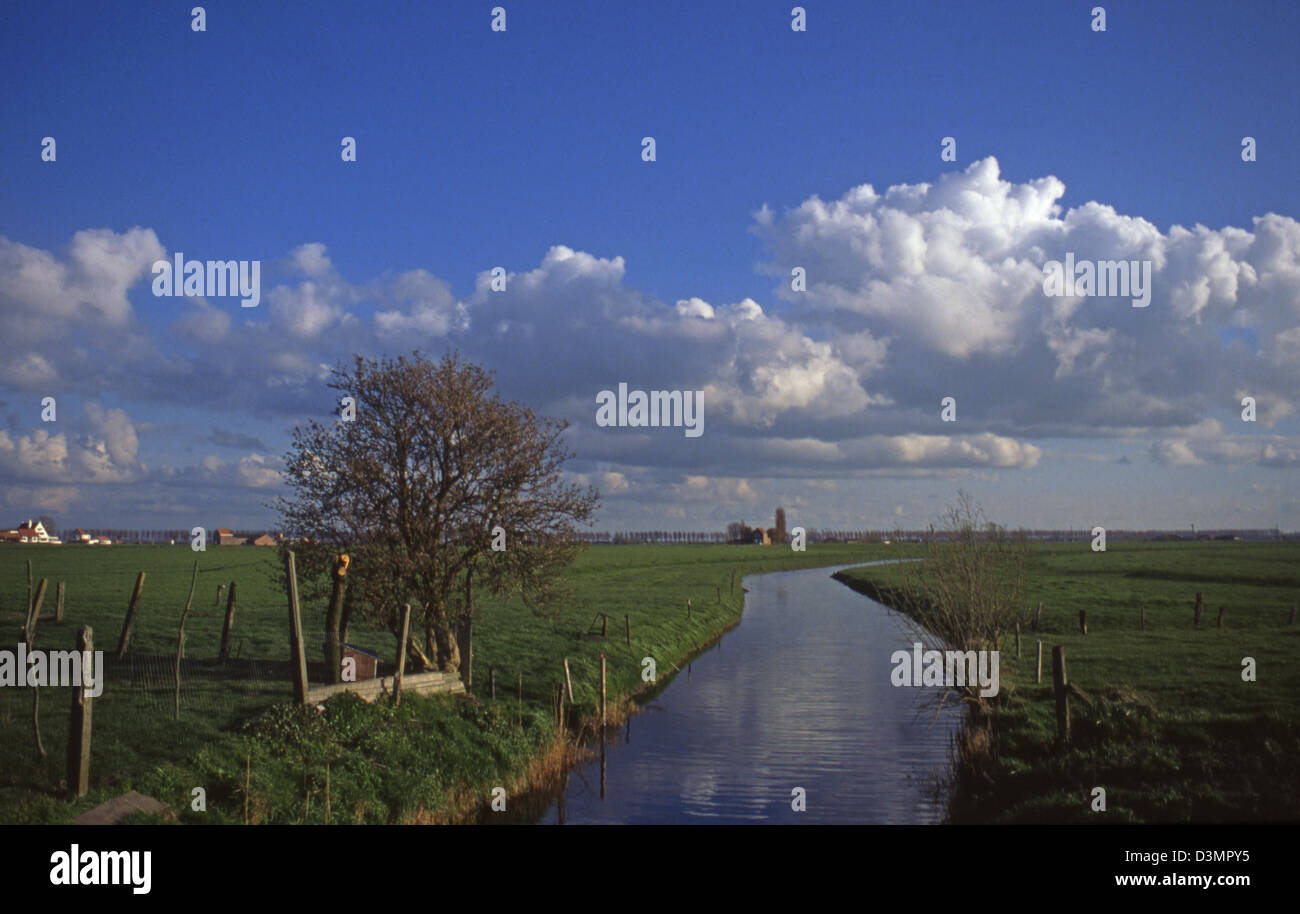 Landschaft mit kleinen Fluss in den südlichen Niederlanden in der Nähe von Sluis, schönes Wetter mit Wolken Stockfoto