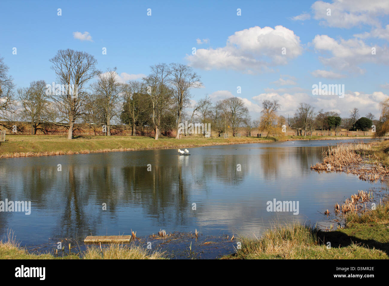 Hampton Court Park (Home Park), England UK. Stockfoto