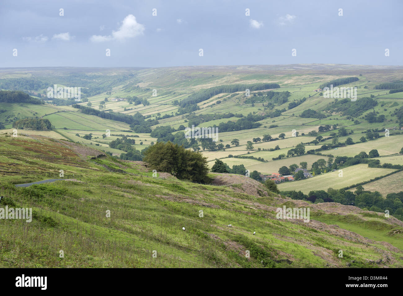 Der Blick vom Schornstein Bank über Rosedale in der North Yorkshire Moors National Park Stockfoto