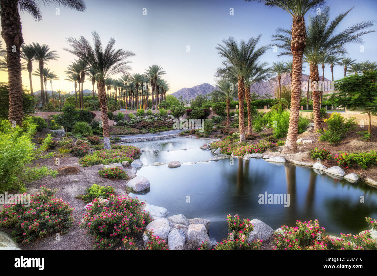 Teich im Garten. Palm Desert, Kalifornien Stockfoto
