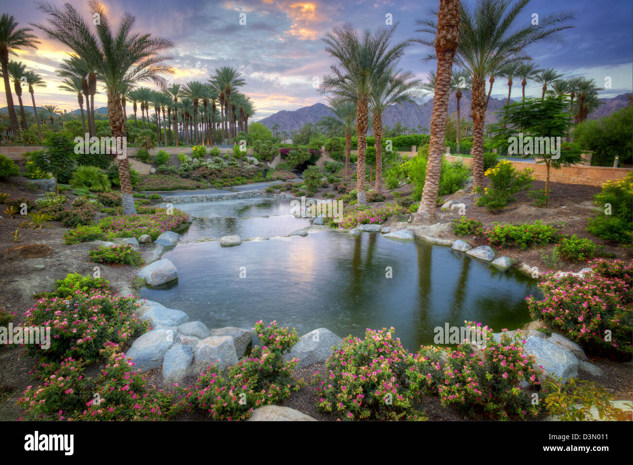 Teich im Garten. Palm Desert, Kalifornien Stockfoto