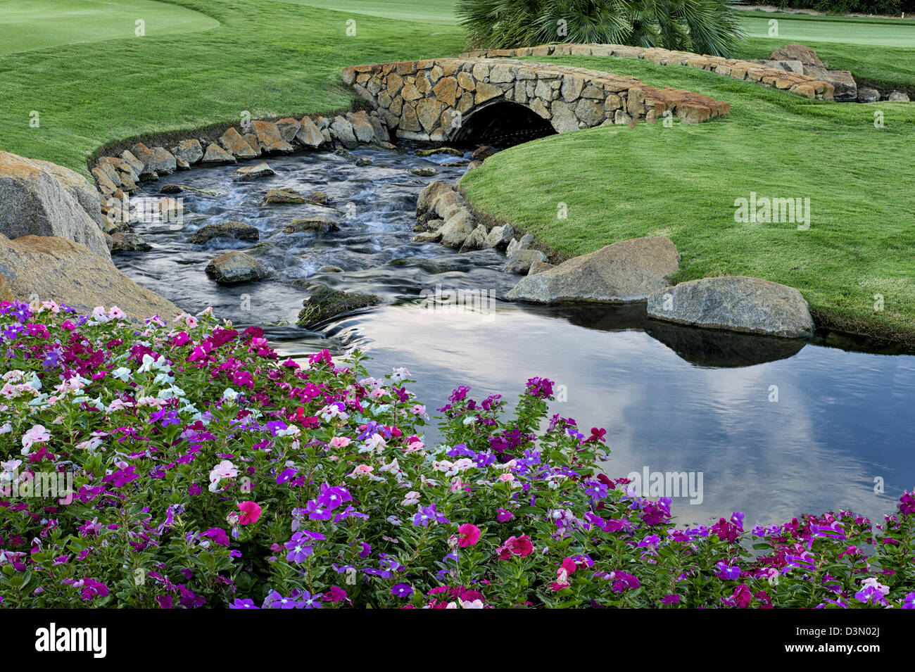 Stream und Impatiens Blumen mit Brücke bei Gof-Kurs. Palm Desert, California Stockfoto