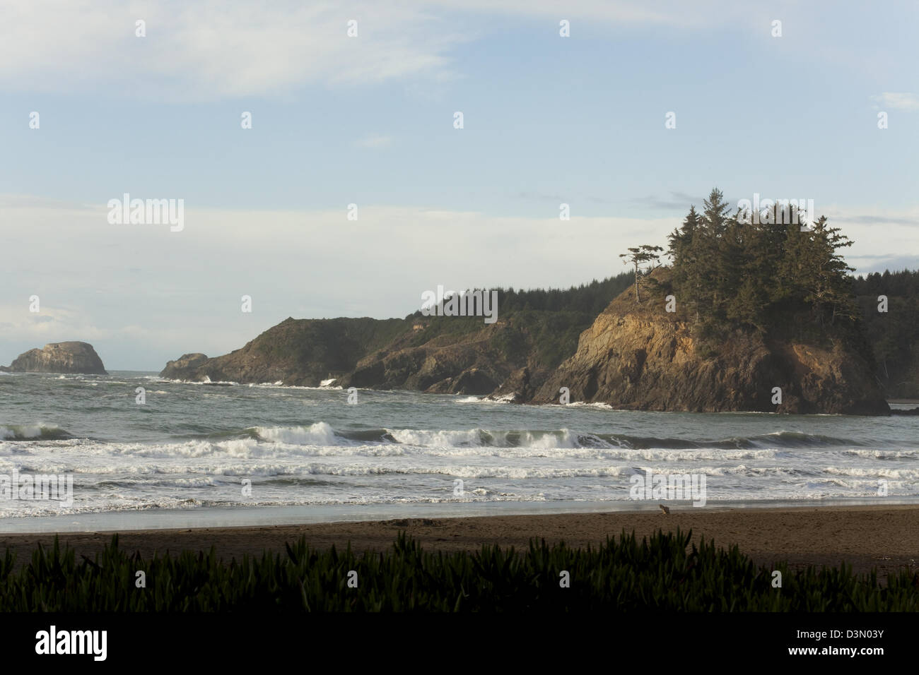 Meer, Felsen, Bäume, nördlichen CA, Humboldt County, Trinidad CA Stockfoto
