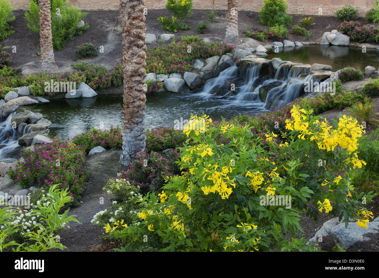 wasserfalle im garten, wasserfälle im garten. palm desert, kalifornien stockfoto, bild, Design ideen