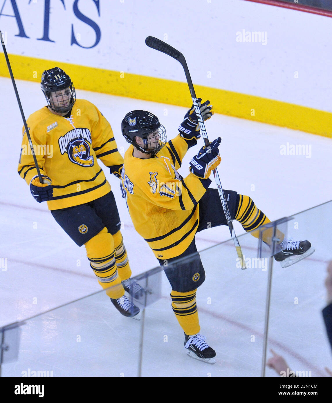 Hamden, CT USA--Quinnipiac Vs Princeton Hockey Spielaktion, Quinnipiac Partituren ein Tor. Stockfoto