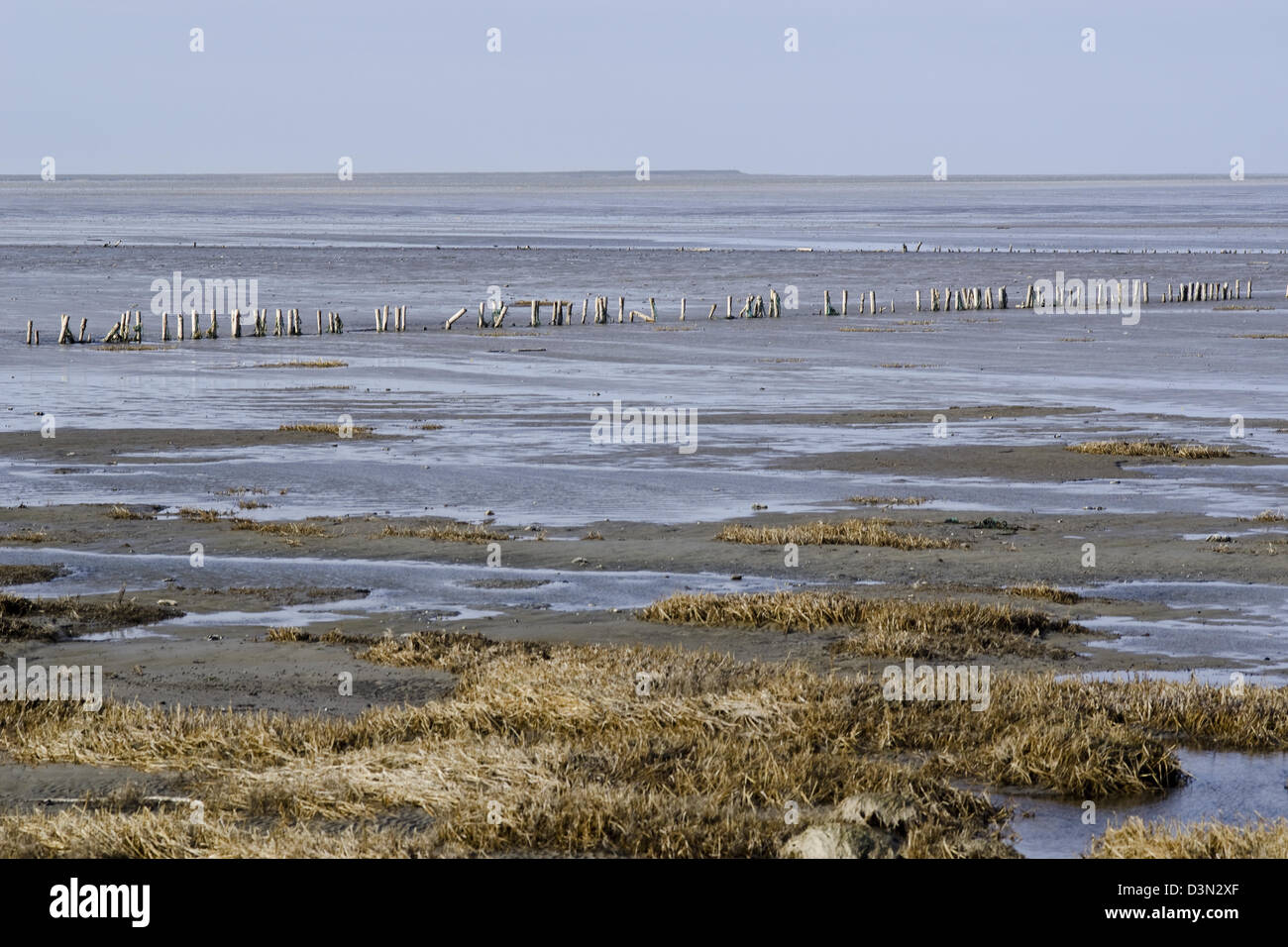 Wattenmeer, der Gezeitenzone im südöstlichen Teil der Nordsee Stockfoto