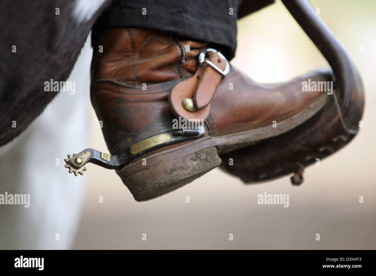 Wahlitz, Deutschland, symbolische Foto, Stiefel Westernreiten mit Sporen Stockfoto